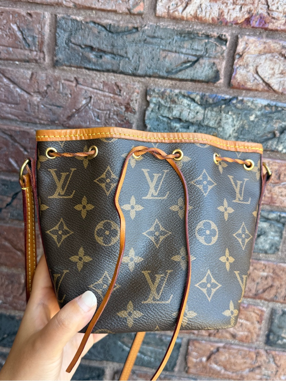 Louis Vuitton Monogram Mini Bucket Bag with Tan Trim